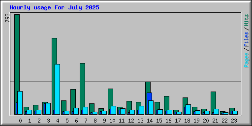 Hourly usage for July 2025